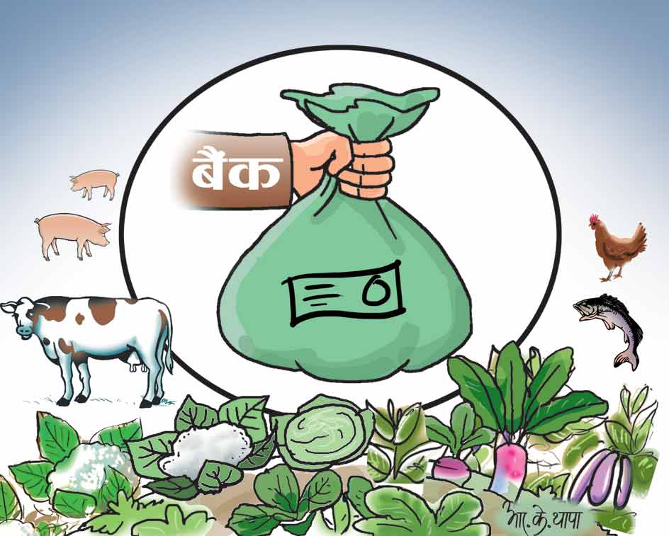 एकातिर खाँचो, अर्कातिर लगानी