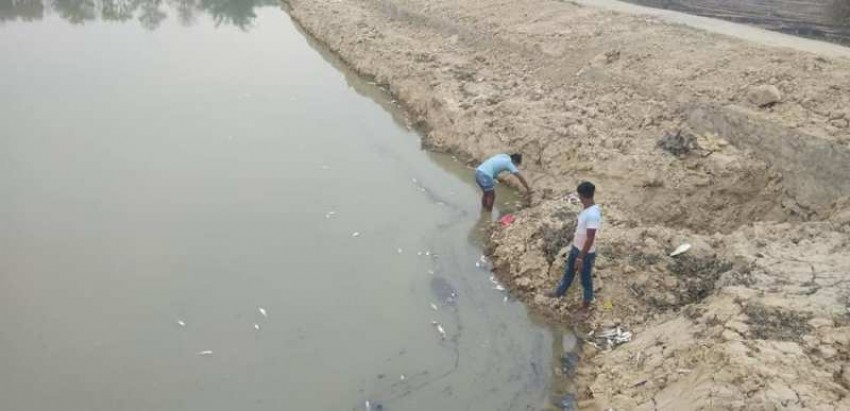 तामाकोसीका माछा घटे