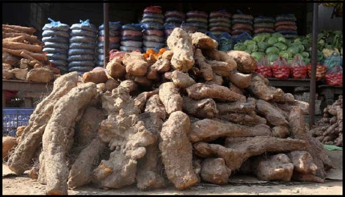बढ्न थाल्यो तरुलको व्यापार, मूल्य पनि आकाशियो