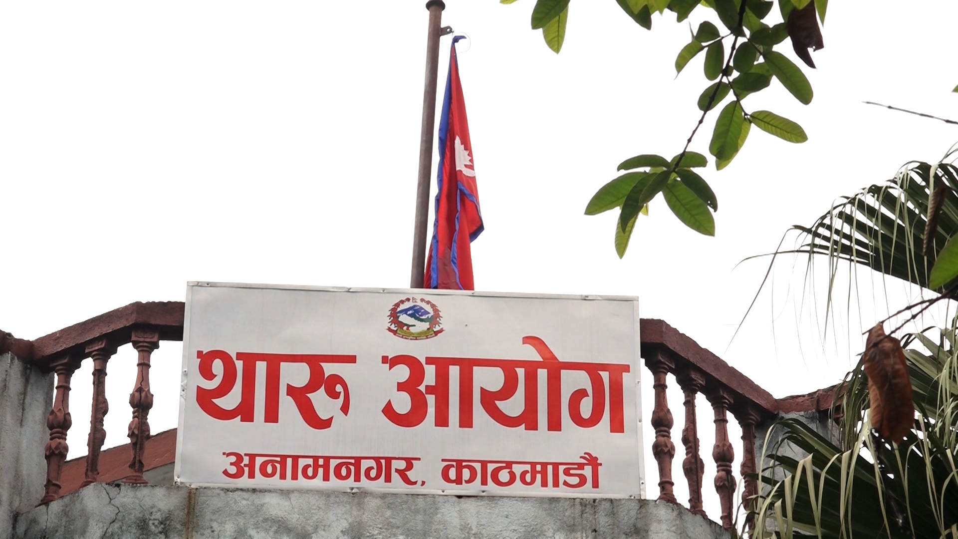 १४ मध्ये १३ वटा कार्यक्रमका बजेट रोक्का भएपछि थारू आयोगको गुनासो