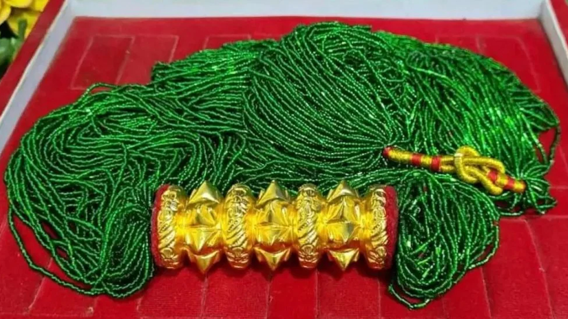 आमाले तिलहरी धितो राखेर लिइन् छोराको प्रवेशपत्र