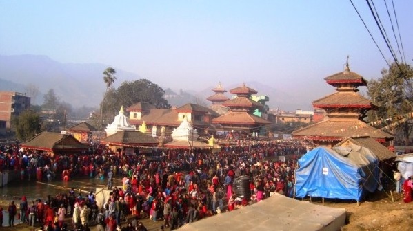 यौनिकता दर्शाउने पनौती जात्रा, पनौतीमा सार्वजनिक बिदा