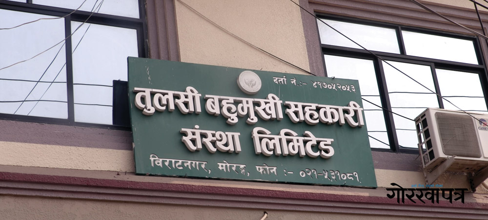 तुलसी सहकारीका दुई सञ्चालक पक्राउ, अध्यक्ष सम्पर्कविहीन