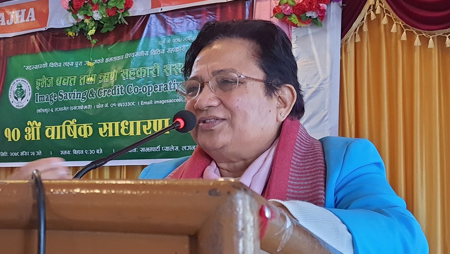 ‘शेयरधनीलाई बोनस होइन, विद्युतीय चुल्हो बाडौं’