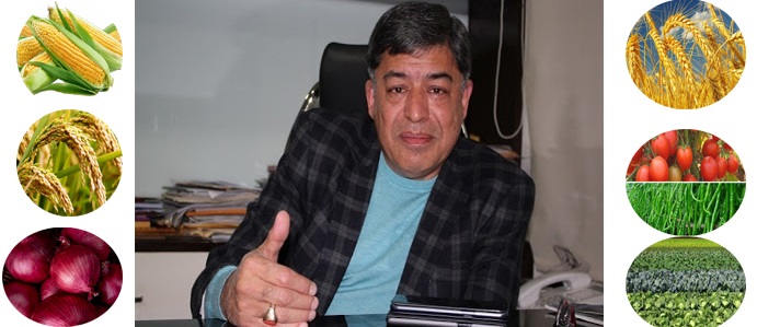 प्याज महँगिदा ठूला व्यापारी समेत चिन्तित, कृषिमा ५ अर्ब लगानी गर्ने दिपक मलहोत्राको यस्तो छ योजना
