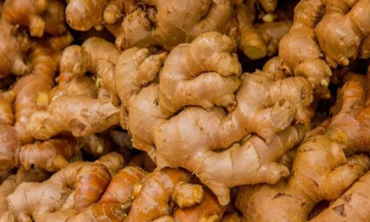 अचानक घट्यो अदुवाको मूल्य