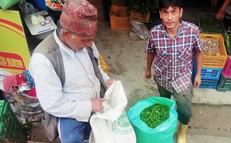 अकबरे खुर्सानी खेतीबाट मनग्य आम्दानी
