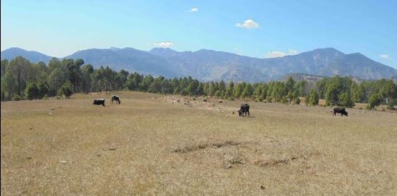 रोल्पाको बडाचौर विमानस्थल खेलमैदानमा परिणत