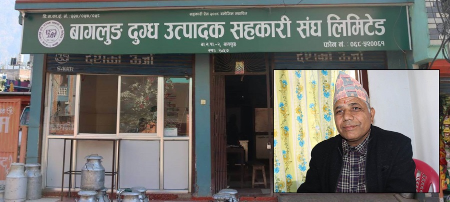 कृषि सहकारीको पिडा : दूधमा फ्याट कम हुन्छ, बिक्रिगर्दा भ्याट लाग्छ