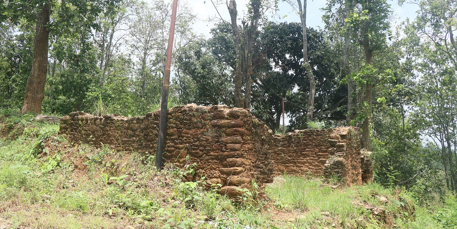 खण्डहर बन्यो भानुभक्तको घर, रकम अभावमा भएन संरक्षण