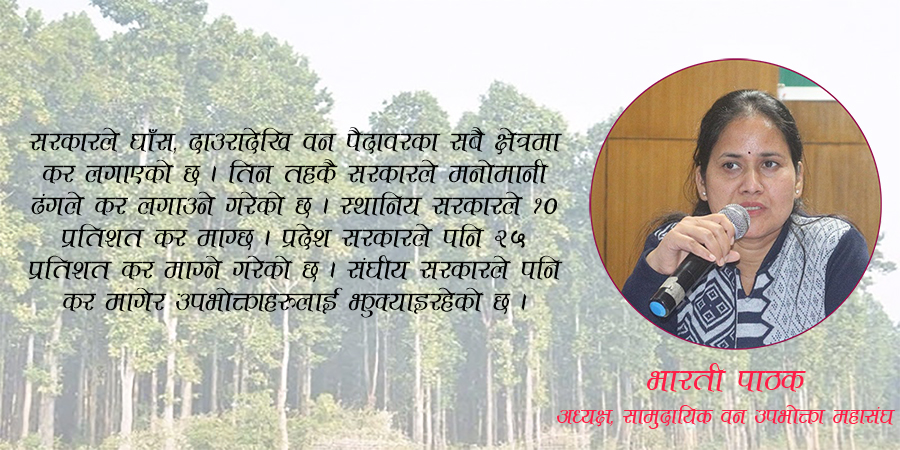 ‘सामुदायिक वनलाई आम्दानीको स्रोत बनाउन सरकारको नीतिले समस्या पार्यो’