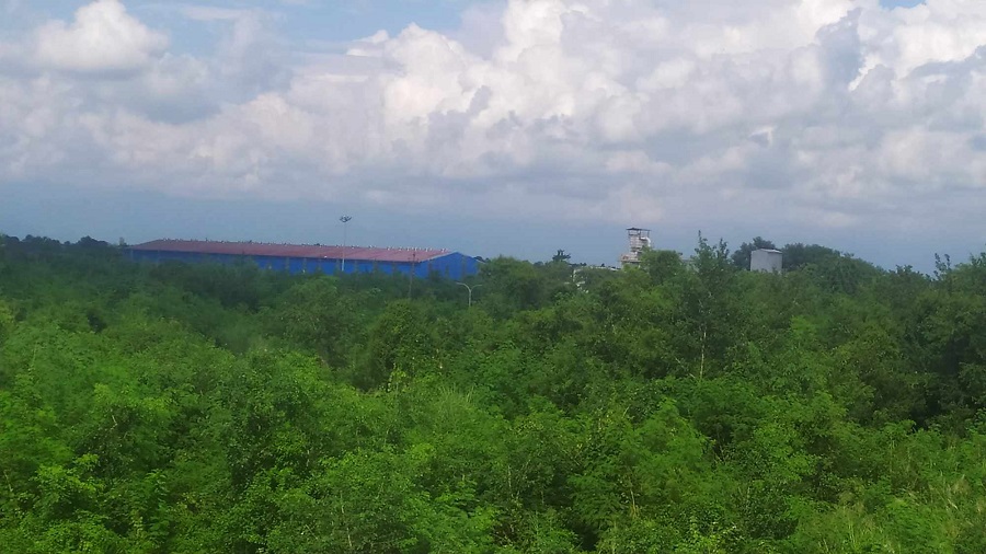 नीतिगत समस्याले जङ्‌गलमा परिणत हुँदै भैरहवा सेज