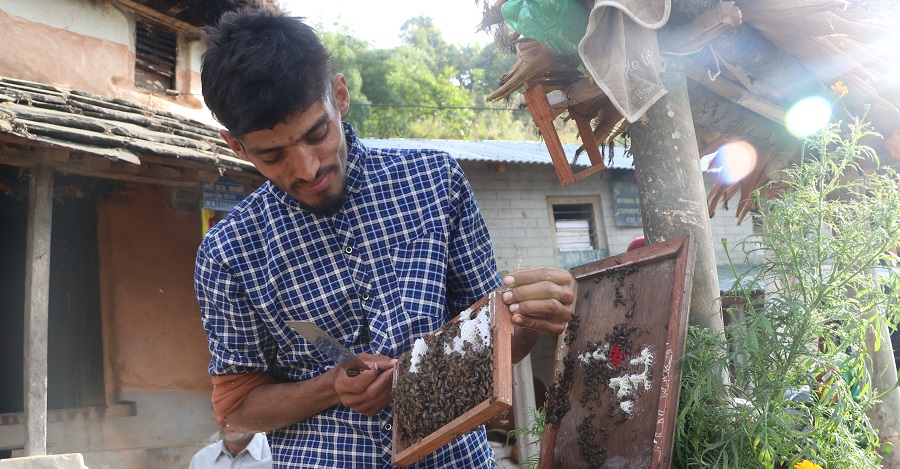 मौरी पालनबाट राम्रो आम्दानी गर्दै तोगीका युवा