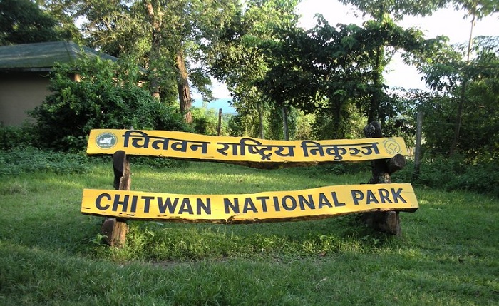 चितवन राष्ट्रिय निकुञ्जको पचास हेक्टरमा नयाँ घाँसेमैदान
