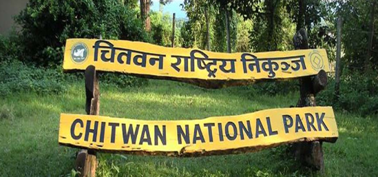 चितवन राष्ट्रिय निकुञ्जमा जीप सफारी खुला