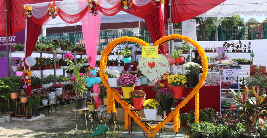 जाउलाखेलमा फूलको प्रतियोगितात्मक प्रदर्शनी (फोटोफिचर)