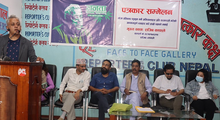 'गाँजा र गाईलाई सबैभन्दा बढी हेला गरियो'