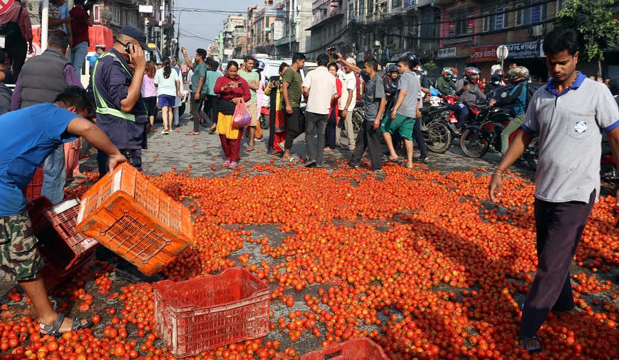 गोलभेँडा सडकमा फालिएको विषयमा छानबिन गर्न निर्देशन