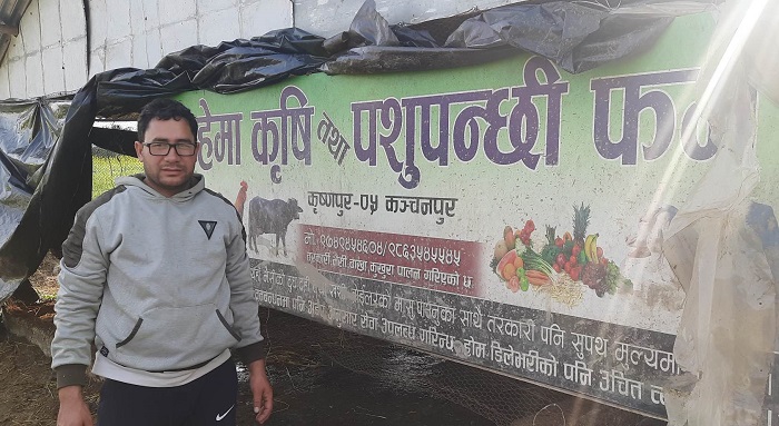 यो हो क्यानडाको भिसा त्यागेर भैंसीपालनमा रमाइरहेका हिक्मतको कथा