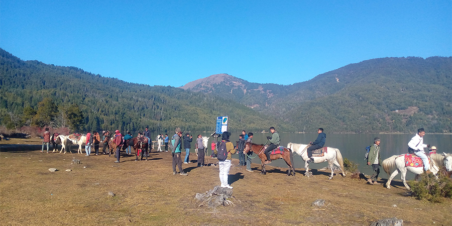 भारी बोक्ने घोडालाई पर्यटक बोक्न भ्याइ नभ्याइ