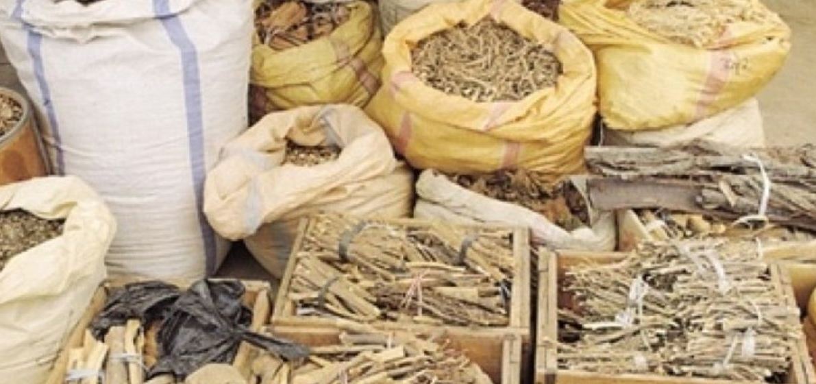 दहमा जडीबुटी संकलन केन्द्र स्थापना