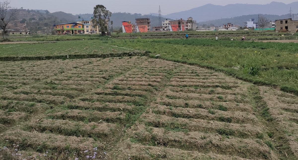 घरजग्गा कारोबारमा भारी गिरावट