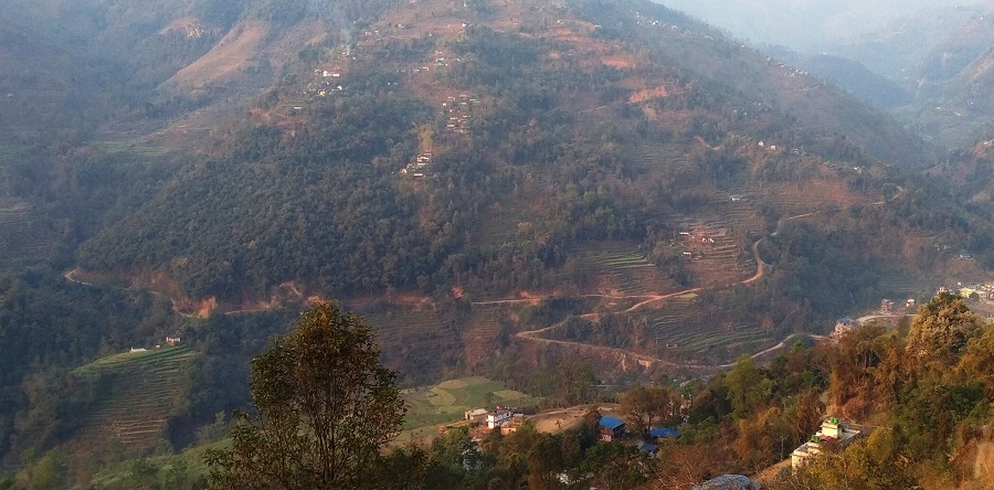 बसाइँसराइले रितिदै जैमिनीका गाउँ