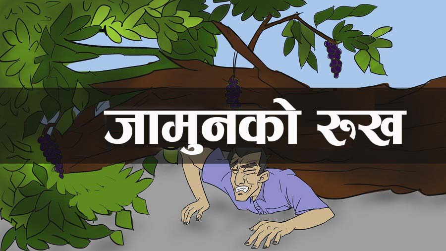 कर्मचारी प्रशासनमा निहित नोकरशाहीतन्त्रको उत्कृष्ट बिम्ब "जामुनको रुख"