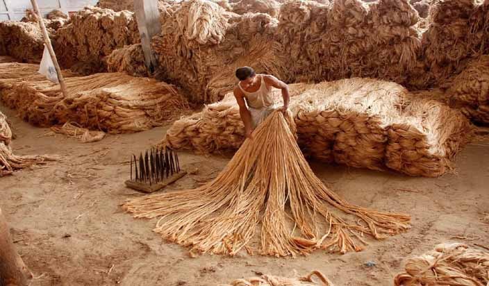 ओरालोमा जुट निकासी : १६ अर्ब रुपैयाँको जुट निकासी ६ अर्बमा खुम्चियो