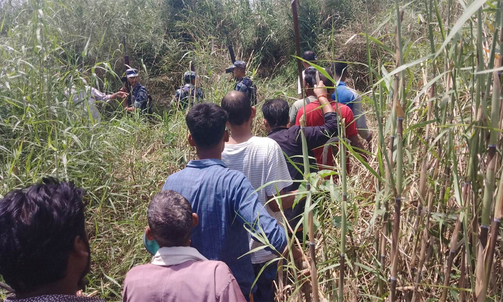 महिला मार्ने बाघलाई  चिडियाखानामा राखिने