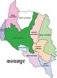 कञ्चनपुरको बजेटमा कृषिलाई प्राथमिकता, ‘एक वडा एक उत्पादन’को नीति