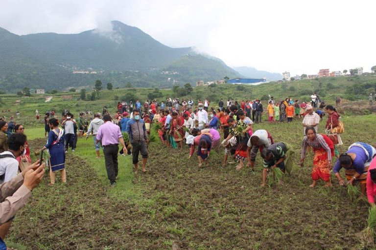 यसकारण फेरियो मन्त्रीको बोली