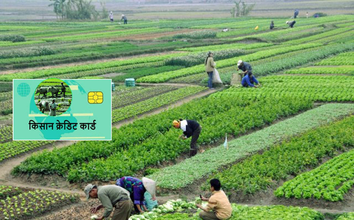 दिक्तेल रुपाकोट मझुवागढीका किसानलाई ‘किसान क्रेडिट कार्ड’