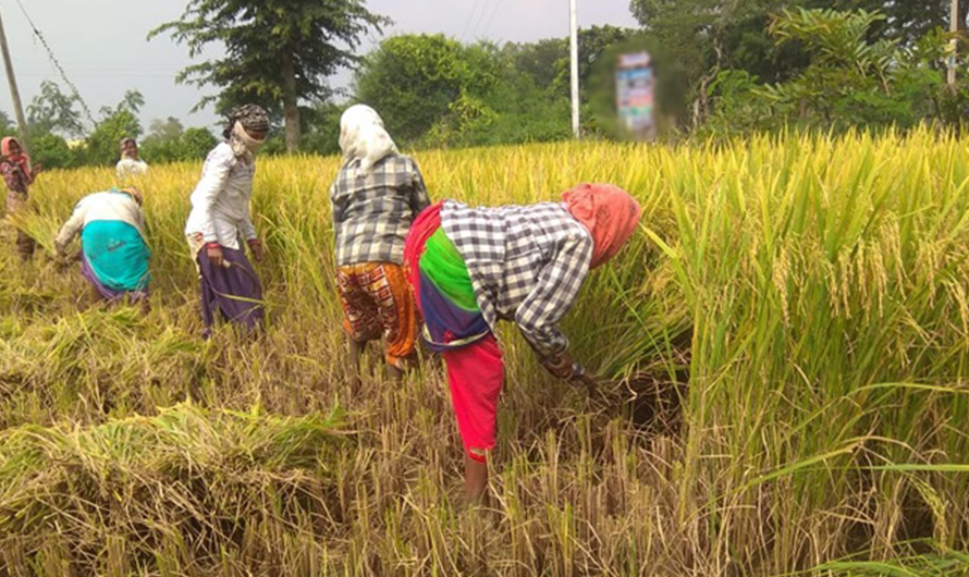 अब किसानले पनि पेन्सन पाउने
