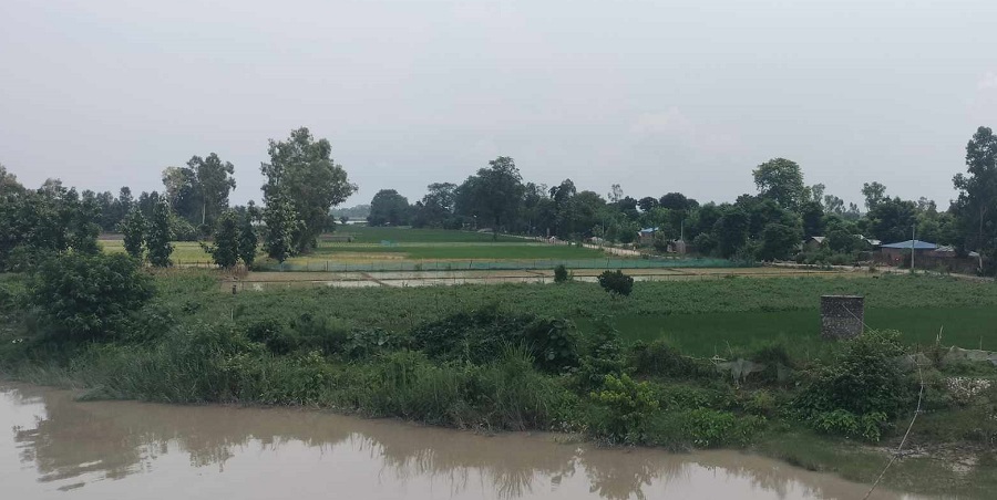 बाढीको त्रासमा रातभर जागराम बस्छन् कुतियाकबरवासी