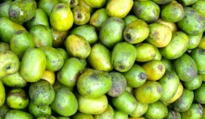 वार्षिक दुई करोडको लप्सी बाहिरिने