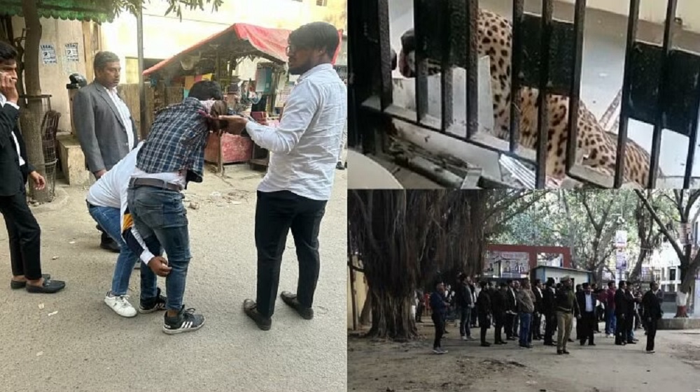 जब बहस भइरहेको इजलासमा छिरेर चितुवाले मान्छे टोक्न थाल्यो