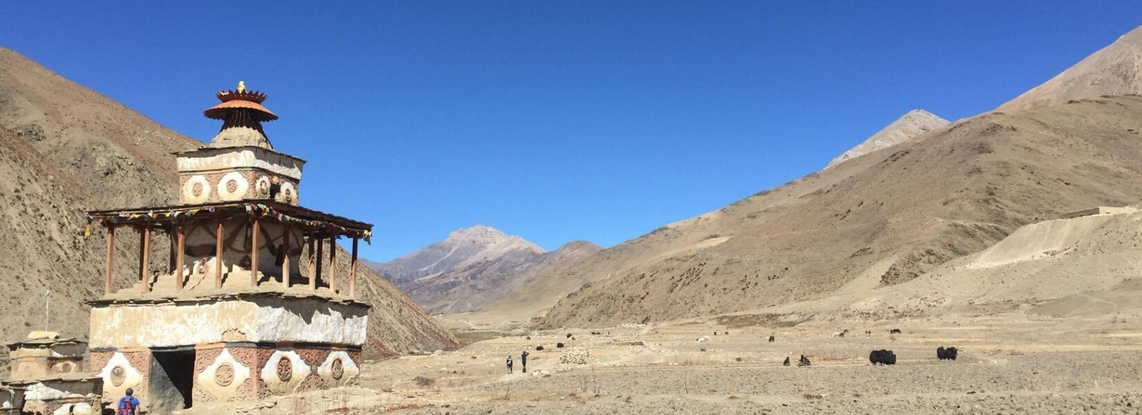 तिब्तीयन लुटेराले डोल्पाको गुम्बाको बहुमूल्य मूर्ति चोरे
