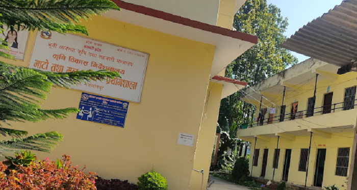 आज विश्व माटो दिवस, निःशुल्क माटो परीक्षण शिविर हुने