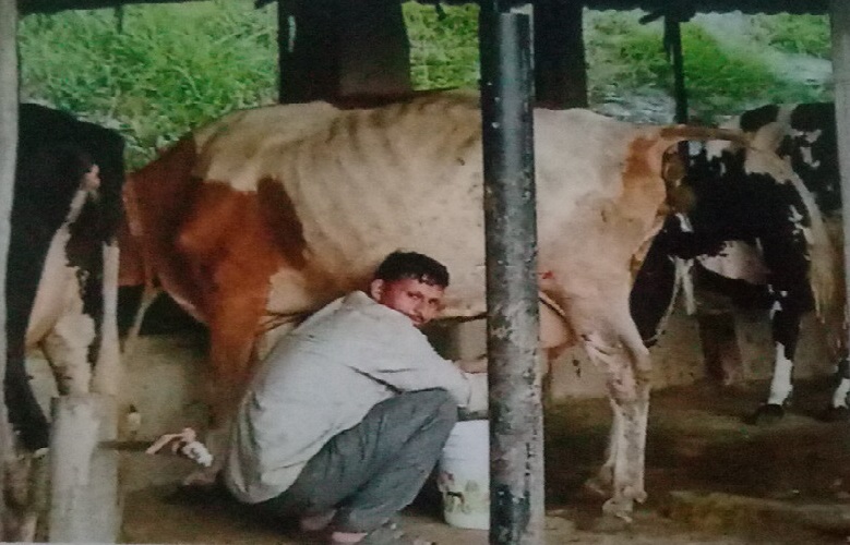 दुःखी पेसाको सुखी जीवन