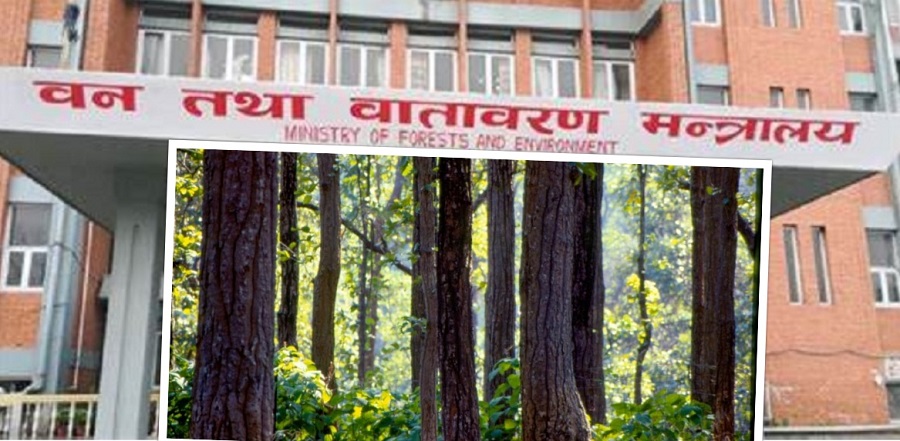 बजेटले बनमाथि गर्यो बेइमानी