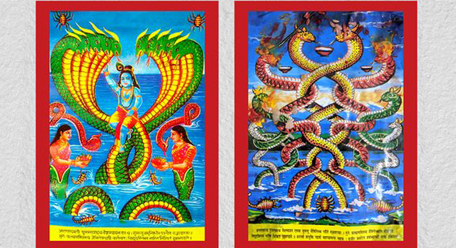 आज श्रावण शुक्ल पञ्चमी, नागको पूजा आराधना गरी मनाइँदै
