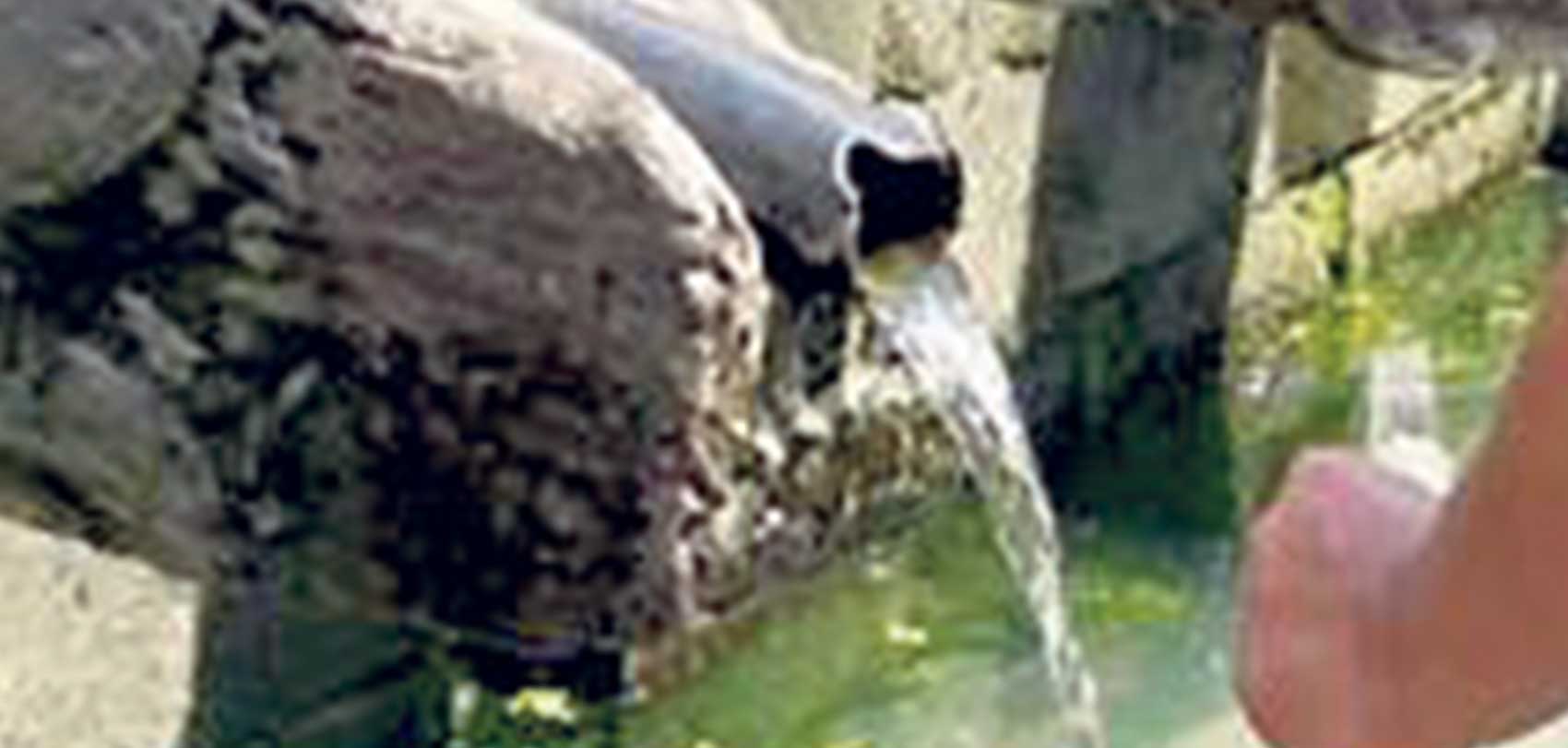 कर्णालीमा ९६ प्रतिशत नागरिक दूषित पानी पिउँदै