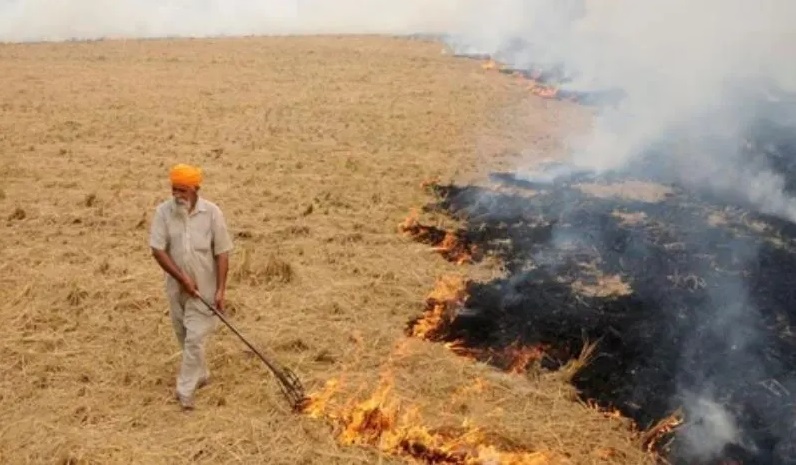 पञ्जाबको विषाक्त धुवाँ नेपाल छिर्न थाल्यो, के हुन्छ असर ?
