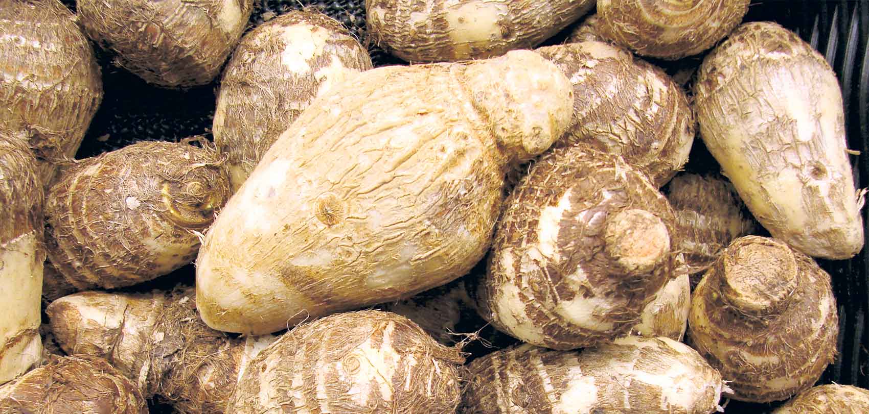 अदुवाले भन्दा पिँडालुले पायो बजार, भाउ पनि महँगो