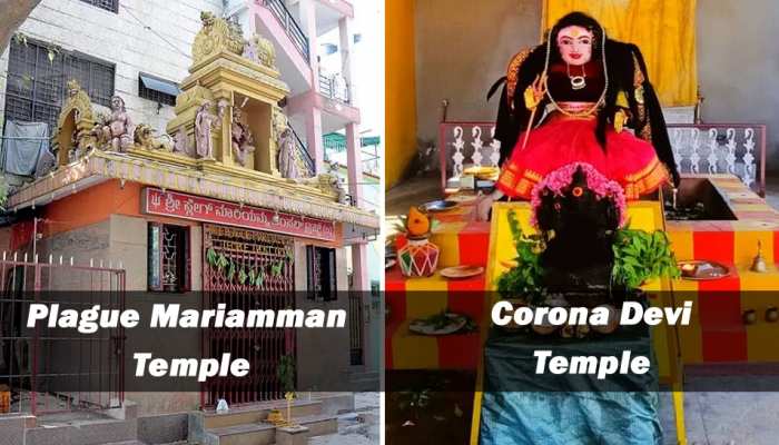 भारतमा कोरोना देवीको धुमधामसँग पूजा
