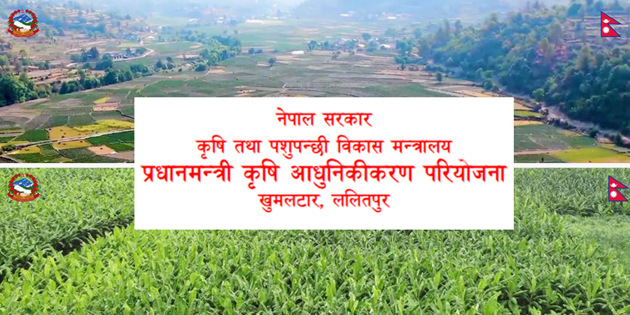कृषि पकेट क्षेत्रमा दलीय खिचातानी : रूपन्देहीमा बजेट नै छुट्याइएन