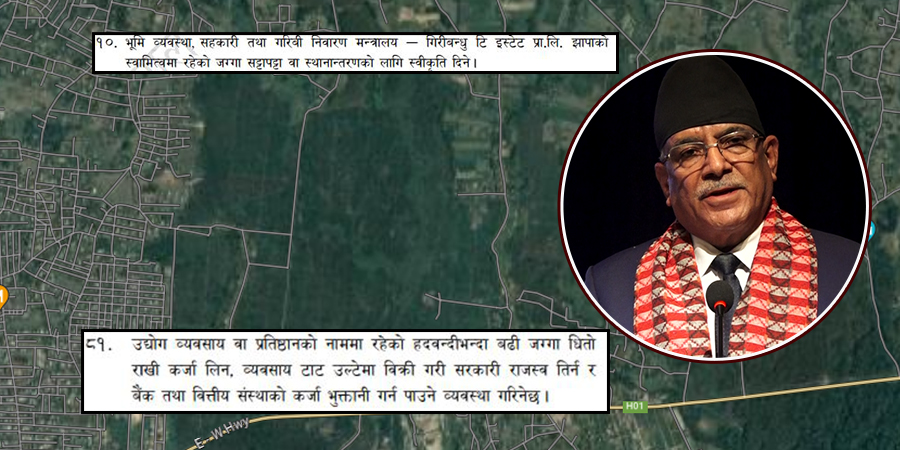 गिरिबन्धु टी स्टेट प्रकरण : अप्ठेरोमा प्रचण्ड, अर्बौं ठगीमा माओवादीकै कनेक्सन !