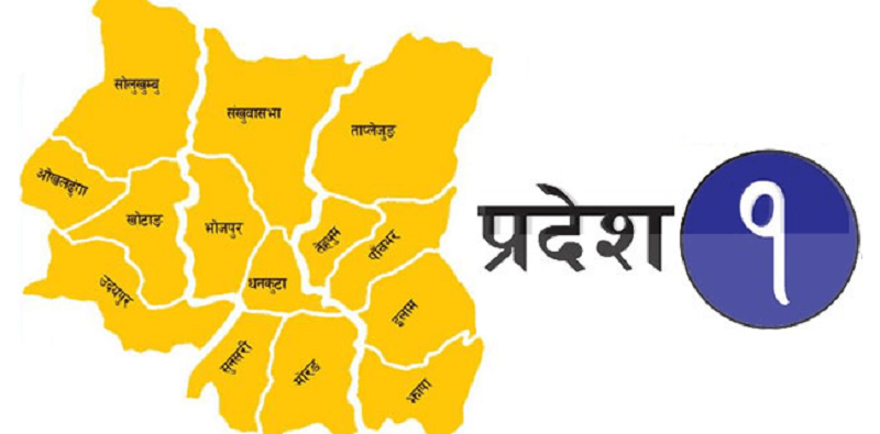 राष्ट्रिय अर्थतन्त्रमा प्रदेश १ को योगदान १.२० प्रतिशतले ऋणात्मक