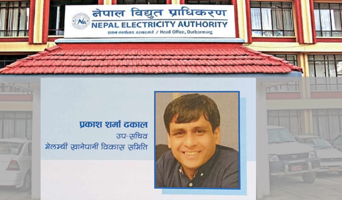 सार्वजनिक संथानको बिग्रँदो छविकाबिच नेपाल विद्युत् प्राधिकरण